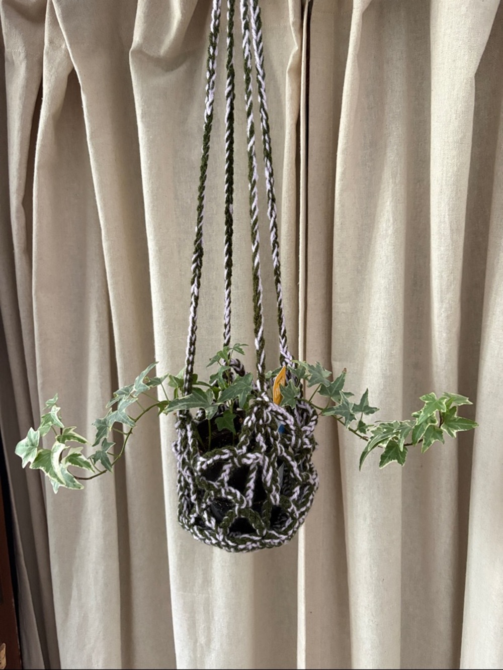 Crocheted Hanging Plant Holder